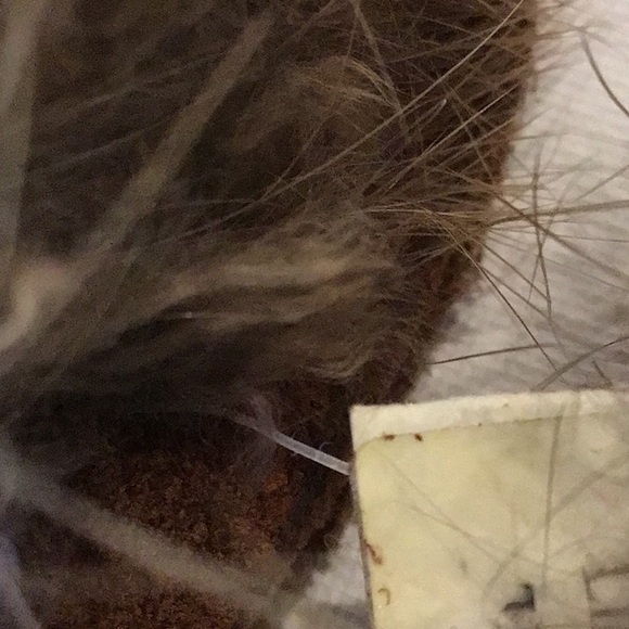 Booties suede and beaver - Picture 8 of 8